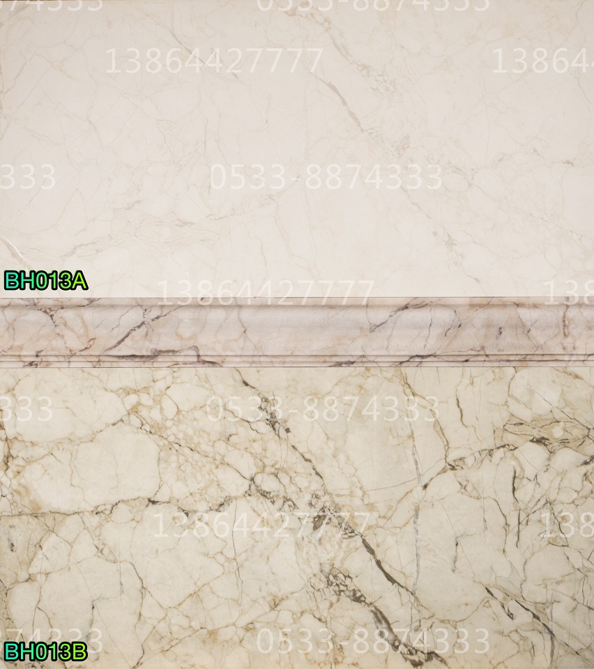 300*600mm��ǽש