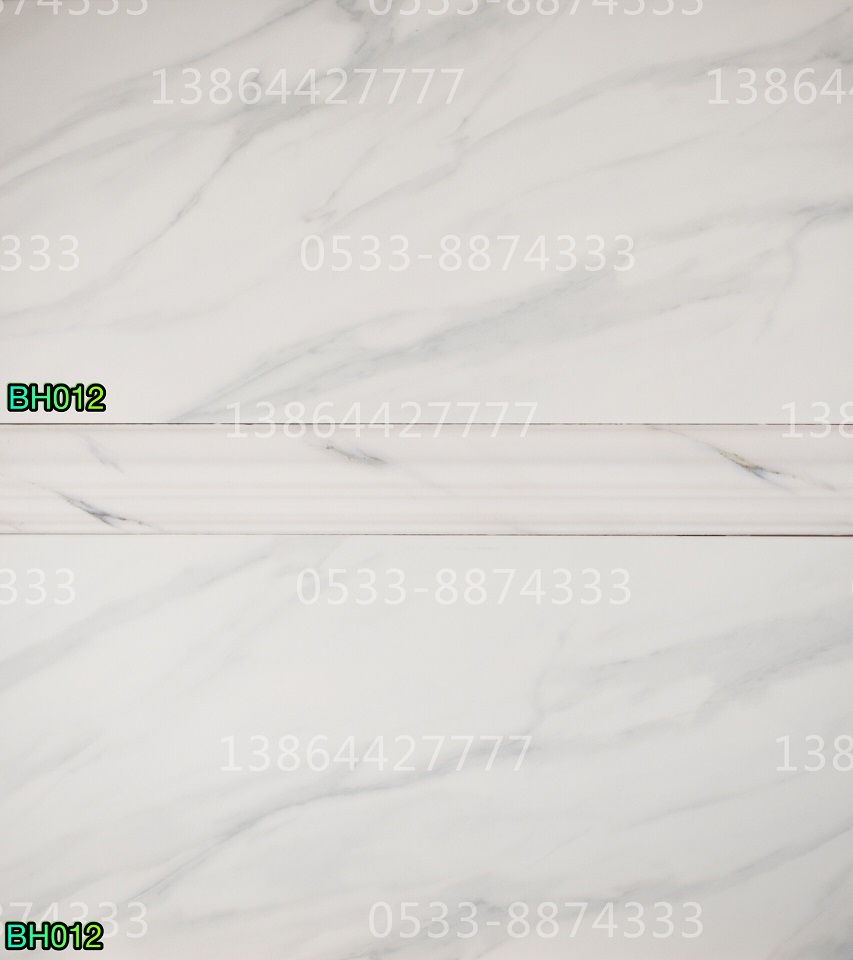 300*600mm��ǽש